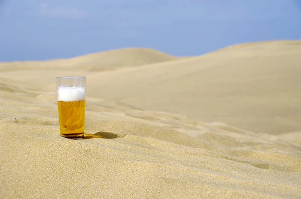 Bière fraîche dans le désert — Photo