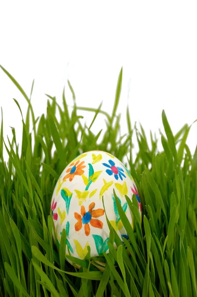 Painted easter egg in grass — Stock Photo, Image