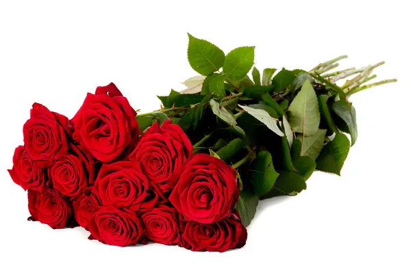Růže kytice — Stock fotografie