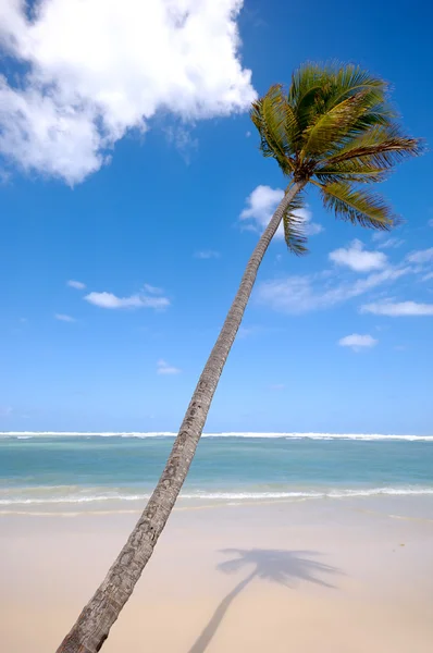 Exotischer Strand — Stockfoto