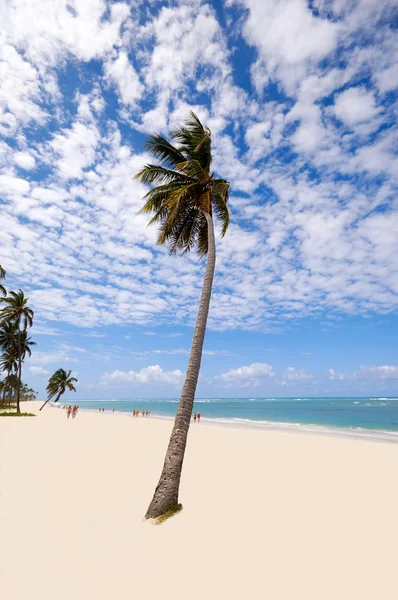 Spiaggia esotica — Foto Stock