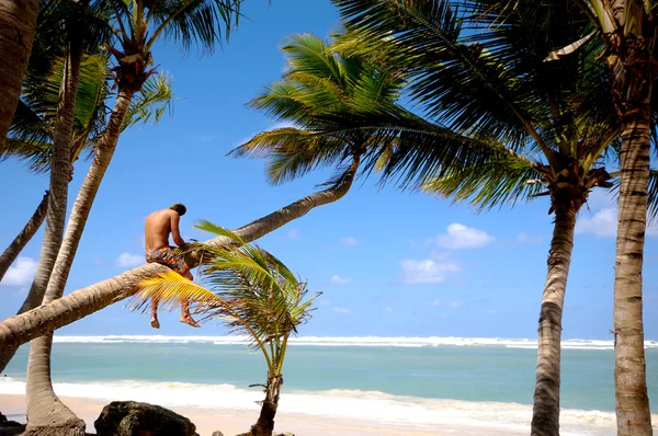 stock image Man sitting on palm