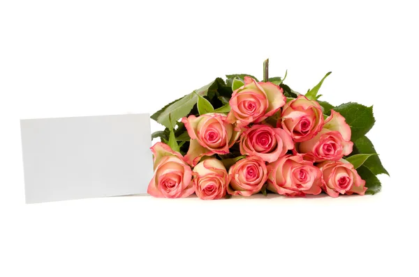 Rosas con tarjeta de regalo — Foto de Stock