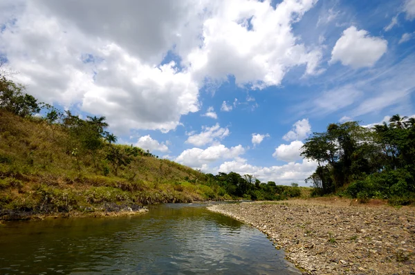 stock image Landscape and river