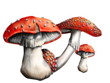 Magic mushroom clipart