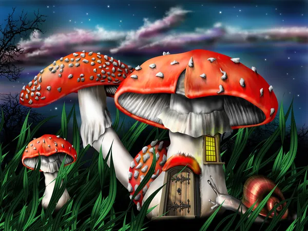 Cogumelos mágicos — Fotografia de Stock