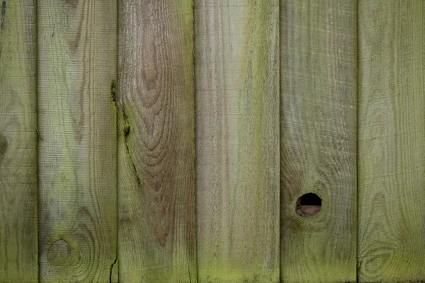 Mossy wooden fence — Stock Photo, Image