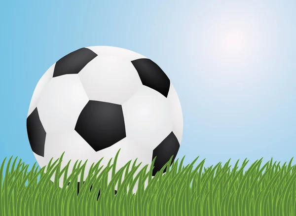 Ball in a grass — Stock Vector