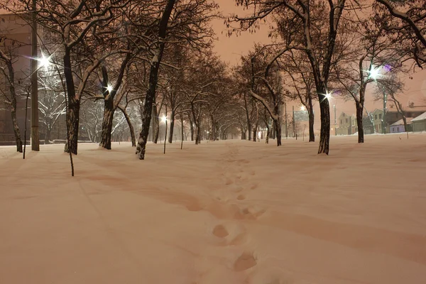 Зимові ночі — стокове фото