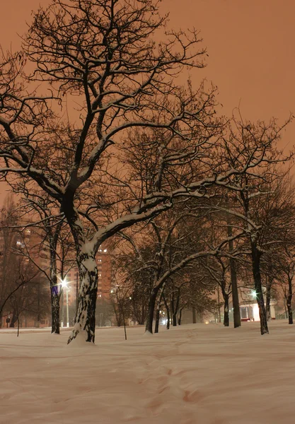 Winternacht — Stockfoto
