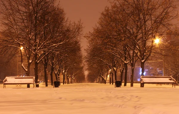 Aleja w zimową noc — Zdjęcie stockowe