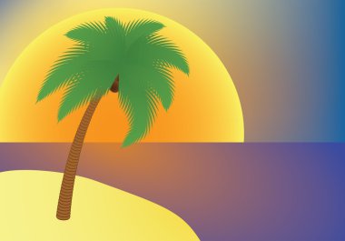 Tatil: bir adada palmiye ağacı