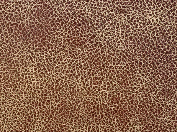 stock image Abstract leather texture