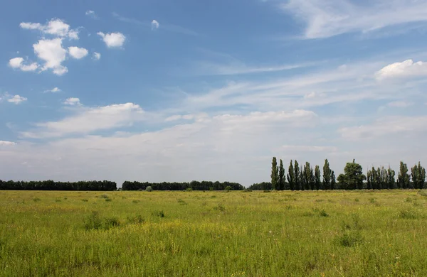 Vista do campo — Fotografia de Stock