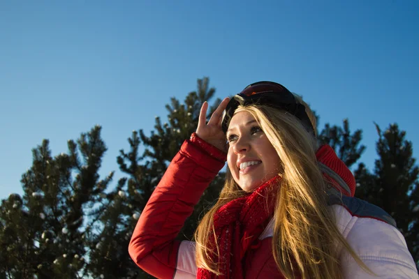 Donna in abbigliamento sport invernali guardando l'orizzonte Foto Stock Royalty Free