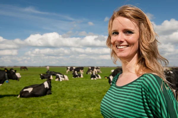 Голландская девушка в поле с коровами — стоковое фото