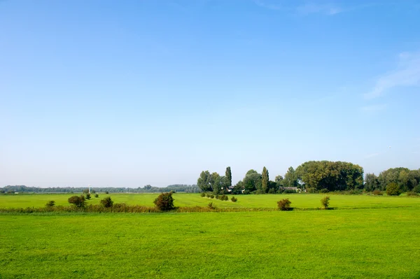 Krajobraz w Holandii — Zdjęcie stockowe