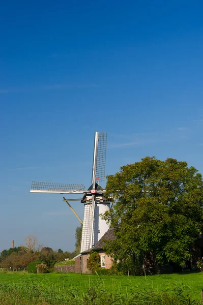 Moulin à vent néerlandais à Hurwenen — Photo