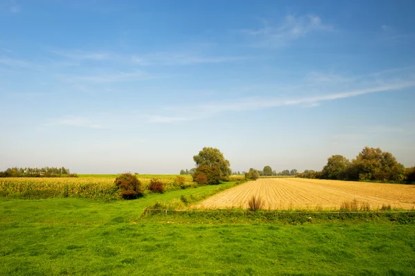Jordbruk landskap — Stockfoto