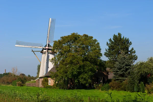 Holandský větrný mlýn v hurwenen — Stock fotografie