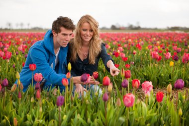 Hollandalı turist Lale koparma