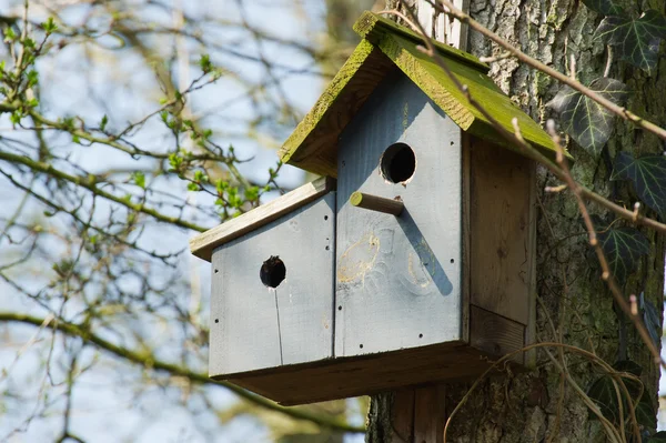 Dubbele birdhouse — Stockfoto