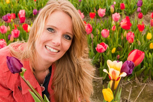 Holandská blondýnka trhá květiny tulipány poli — Stock fotografie