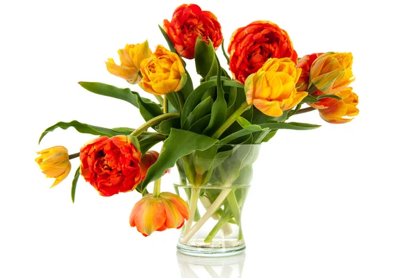 Помаранчеві і жовті тюльпани — стокове фото