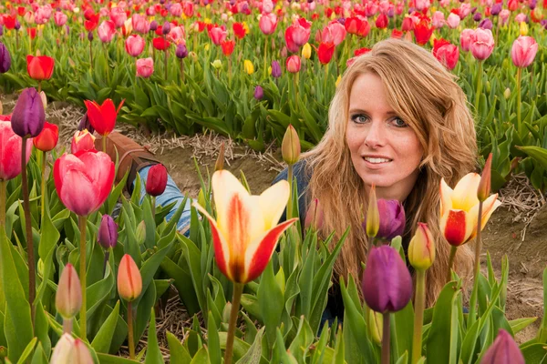 Menina loira holandesa deitada no campo com tulipas — Fotografia de Stock