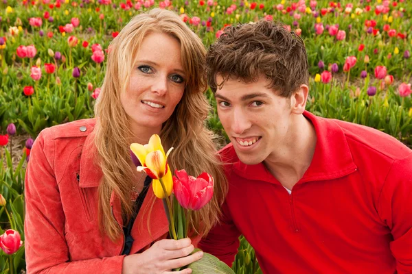 Jovem casal em campos de flores holandesas — Fotografia de Stock