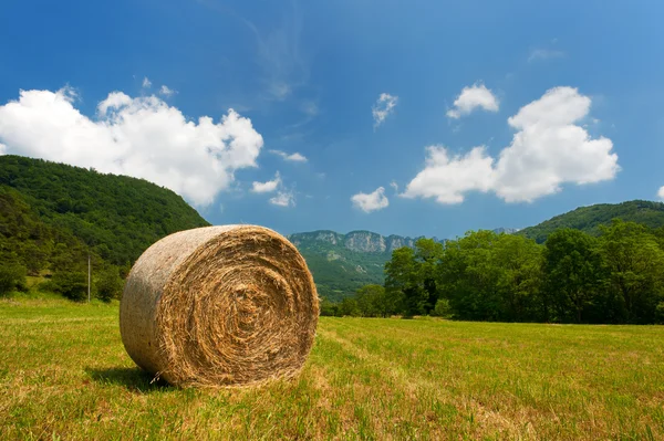 Round straw bales — Stock Photo, Image