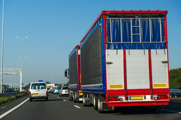 Het vervoer van levende voorraad op snelweg — Stockfoto