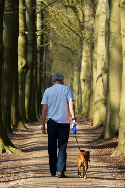 Walking the dog in forest — Stock Photo, Image