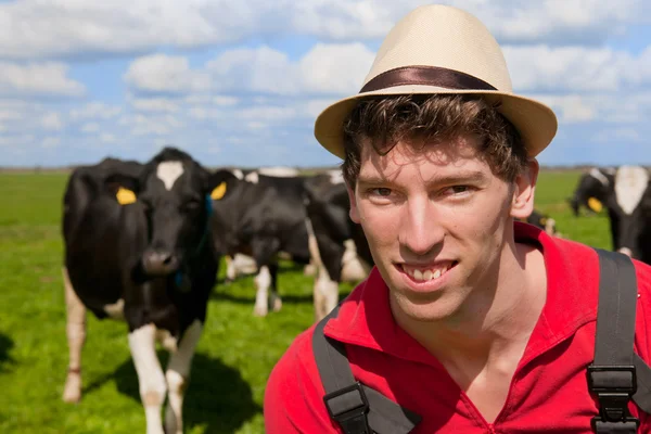 Фермер с коровами — стоковое фото