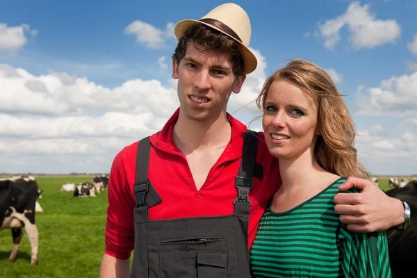 典型的荷兰景观与农民夫妇和奶牛 — 图库照片