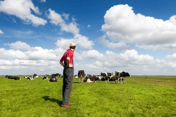 Typical Dutch landscape with farmer and cows — Stock Photo, Image