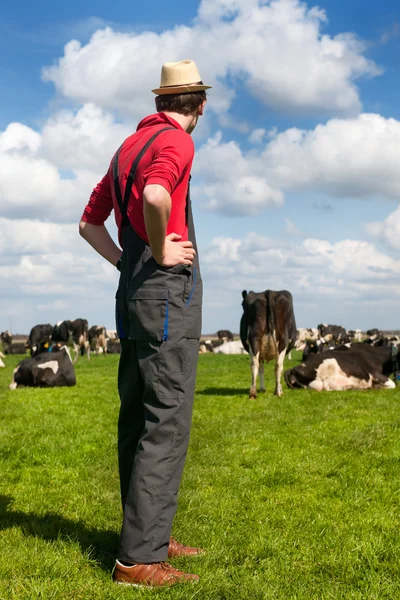 Paisagem típica holandesa com agricultor e vacas — Fotografia de Stock