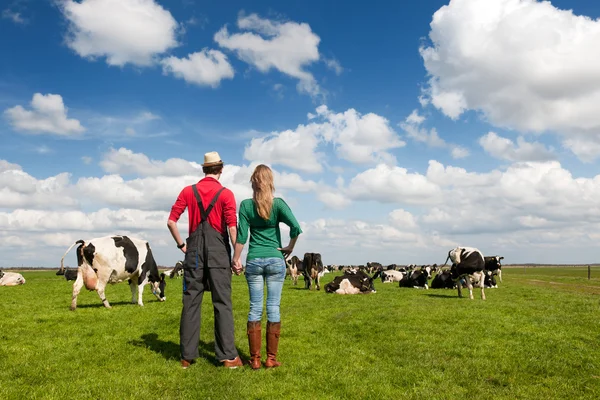Typowy krajobraz holenderski rolnik para i krów — Zdjęcie stockowe