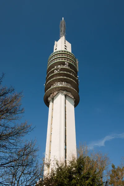 Ολλανδικά ΜΜΕ Πύργος — Φωτογραφία Αρχείου