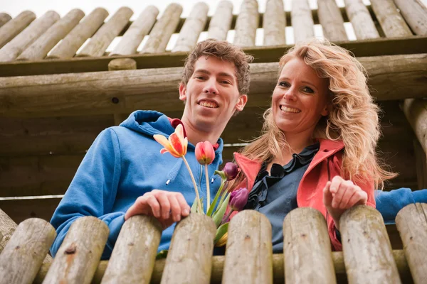 Par i nederländska observation koja — Stockfoto
