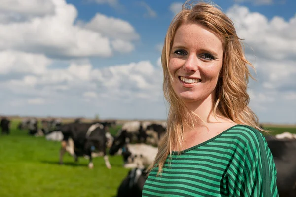牛とフィールドでオランダの少女 — ストック写真
