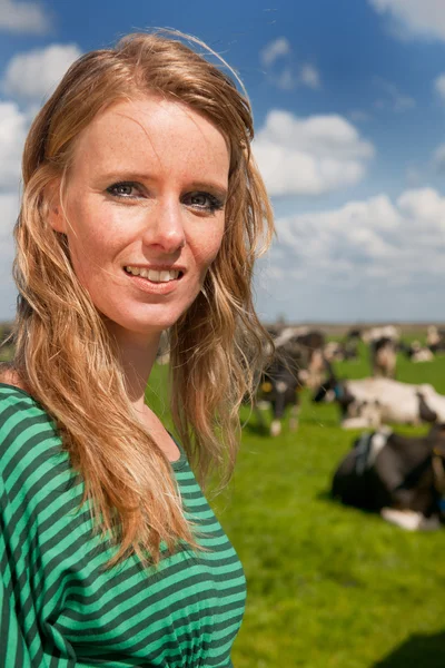 Nederlandse meisje in veld met koeien — Stockfoto