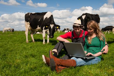 Young couple farmers in field with cows clipart
