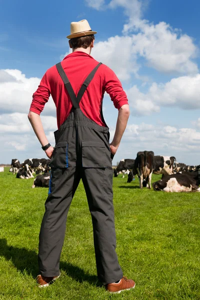Typowy krajobraz holenderski rolnik i krów — Zdjęcie stockowe