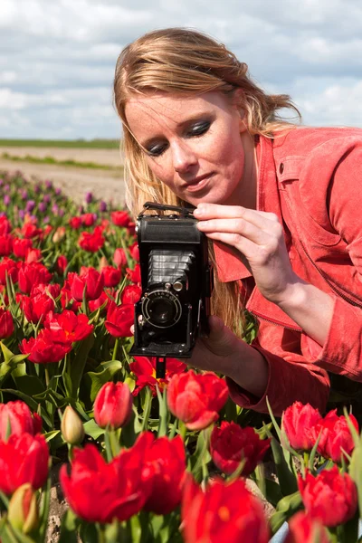 Menina loira holandesa com câmera de foto velha no campo com tulipas — Fotografia de Stock