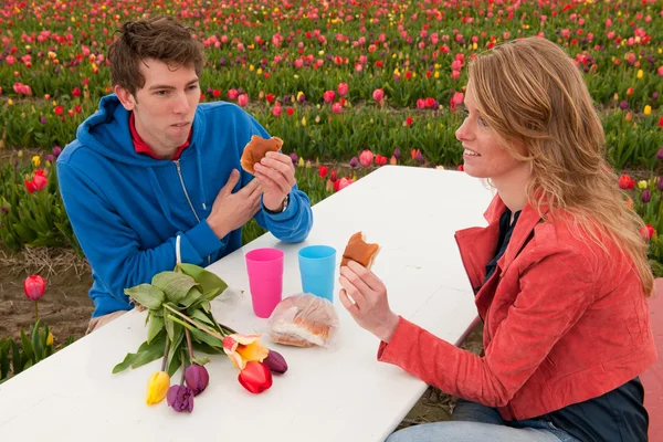Young couple is having picnic — Stock Photo, Image
