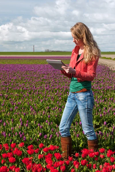 Chica holandesa con tableta PC — Foto de Stock