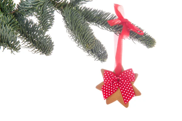 Hanging Christmas cookie — Stock Photo, Image