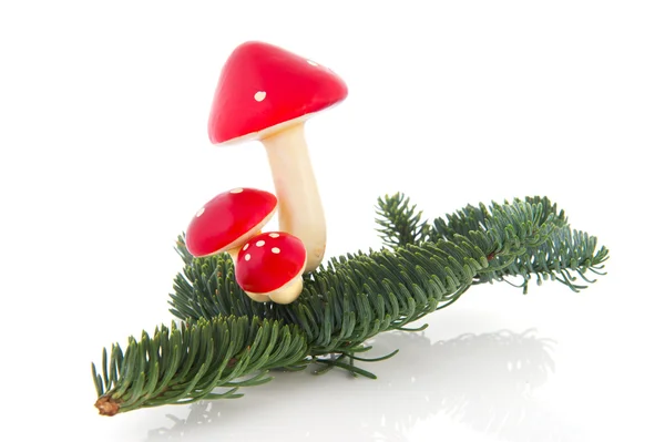 蘑菇与圣诞 — 图库照片