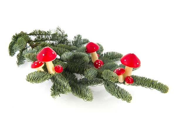 Mushrooms with Christmas — Stock Photo, Image